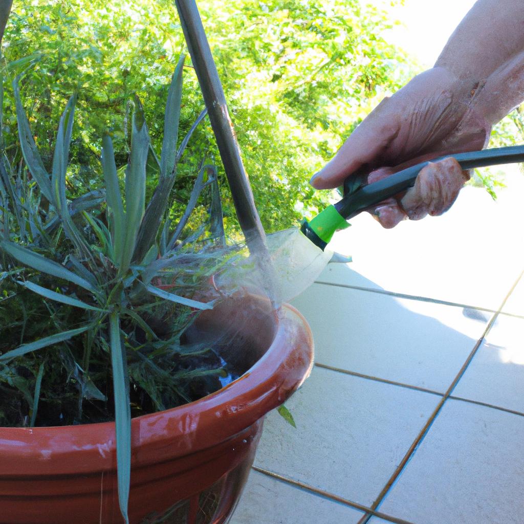 Person watering drought-resistant plants